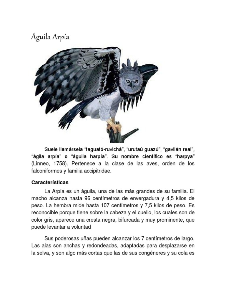 Aguila Arpia | PDF