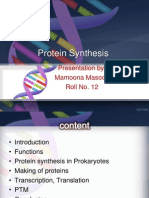 Protein Synthesis