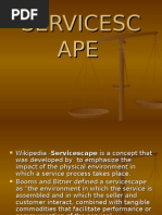 Download Services Cape by Heavy Gunner SN14017927 doc pdf