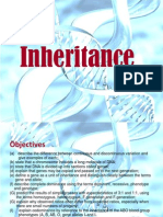 Genes and Inheritance