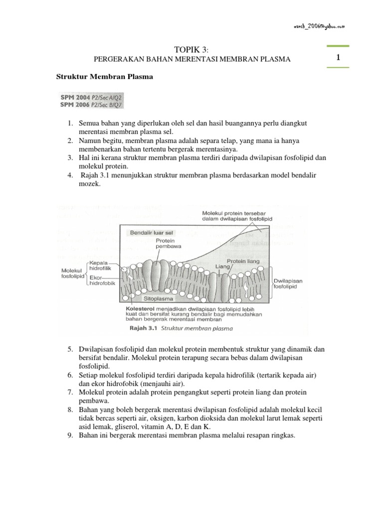 Nota Plasma Membrane | PDF