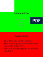 Learn About Spina Bifida