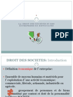 Droit des sociétés.pdf