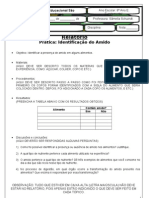 Modelo de Relatório - 8° Ano