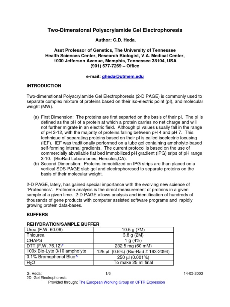 2D Gel Electrophoresis Protocol Guide | PDF | Polyacrylamide Gel ...