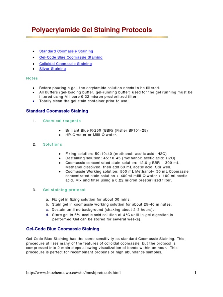 Polyacrylamide Gel Staining Protocols | PDF | Staining | Polyacrylamide ...