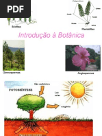 3204881 Biologia PPT Botanica Introducao