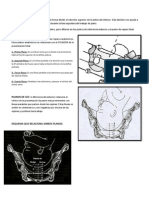 Planos de Hodge y de Lee