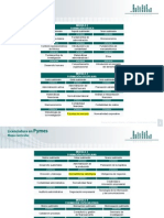 Licenciatura PYMES