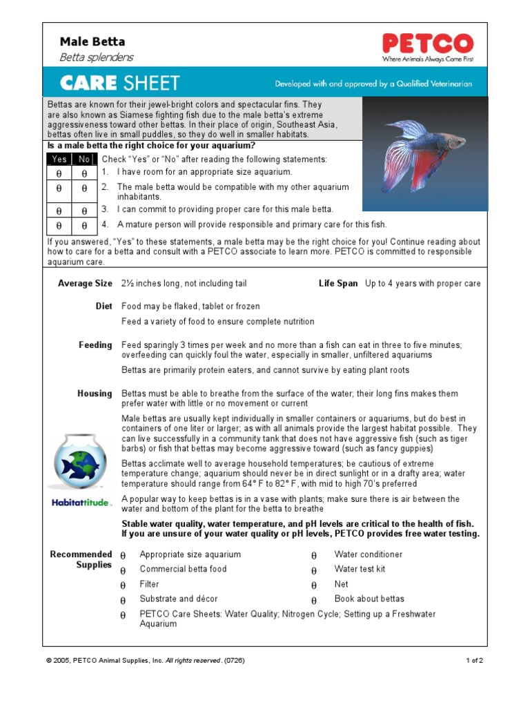 betta care sheet petco