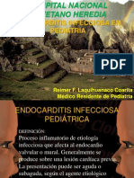 Endocarditis Infecciosa REIMER