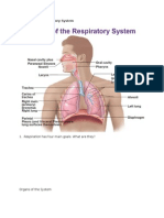 chapter 16 - respiratory