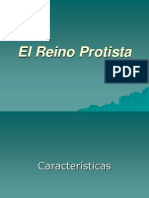 El Reino Protista