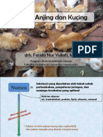 Nutrisi Anjing Dan Kucing