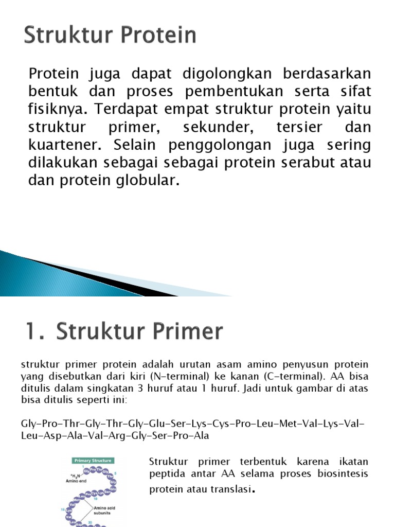 Struktur Protein | PDF