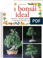 Bonsai Ideal