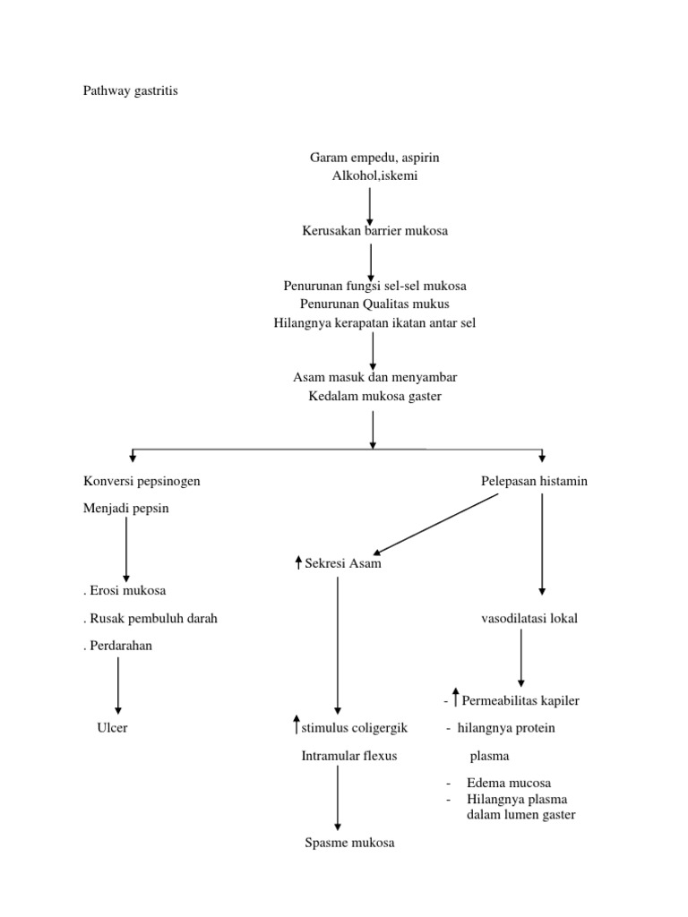 Pathway Gastritis