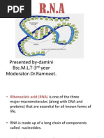 RNA.ppt