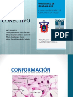 Histologia Del Tejido Conjuntivo