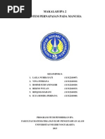 Download Makalah Sistem Pernafasan by AisyatunNurLaely SN140403782 doc pdf