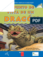 El Punto de Vista de Una Dragón