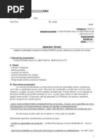 A4 (DTOE 1) Plan de Organizare A Execuției | PDF