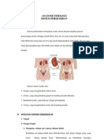 Asuhan Keperawatan Peritonitis