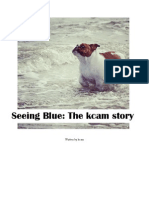 Seeing Blue: The Kcam Story