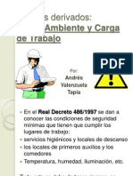 Riesgos Derivados de Carga de Trabajo