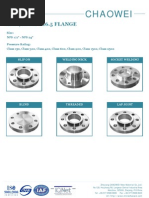 Chaowei: Ansi/Asme B16.5 Flange