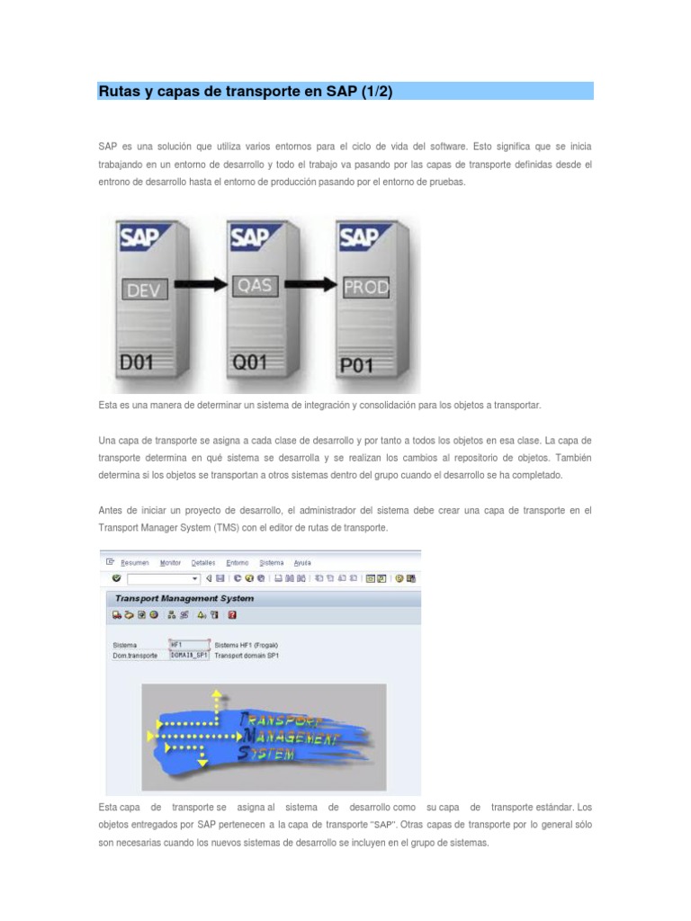 Rutas y Capas de Transporte en SAP (1de2) | PDF | Transporte | Proceso ...