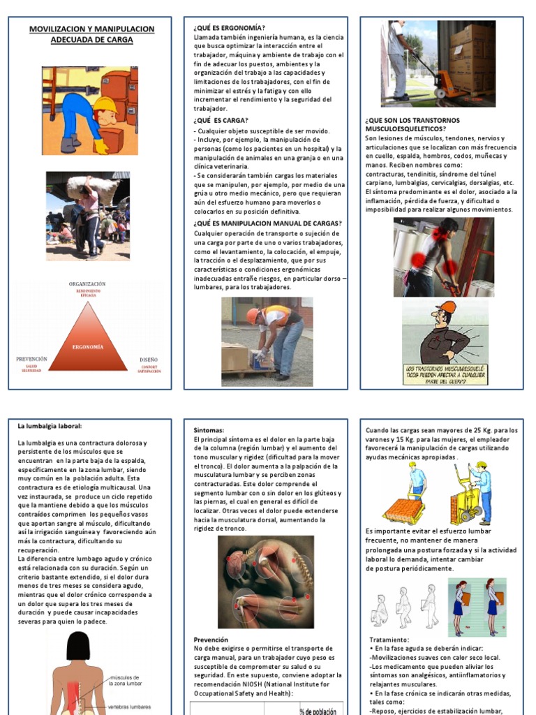 Movilizacion y Manipulacion Adecuada de Cargas | PDF | Dolor lumbar ...