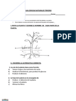 Guia Ciencias Naturales Tercero