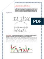 Trabajo de Educación Física