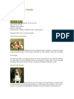 Nuevo Documento de Microsoft Word (3).docx