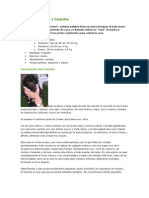 Nuevo Documento de Microsoft Word (12)