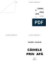 Valeriu CIUCULIN - CAINELE PRIN APA Vol - IV