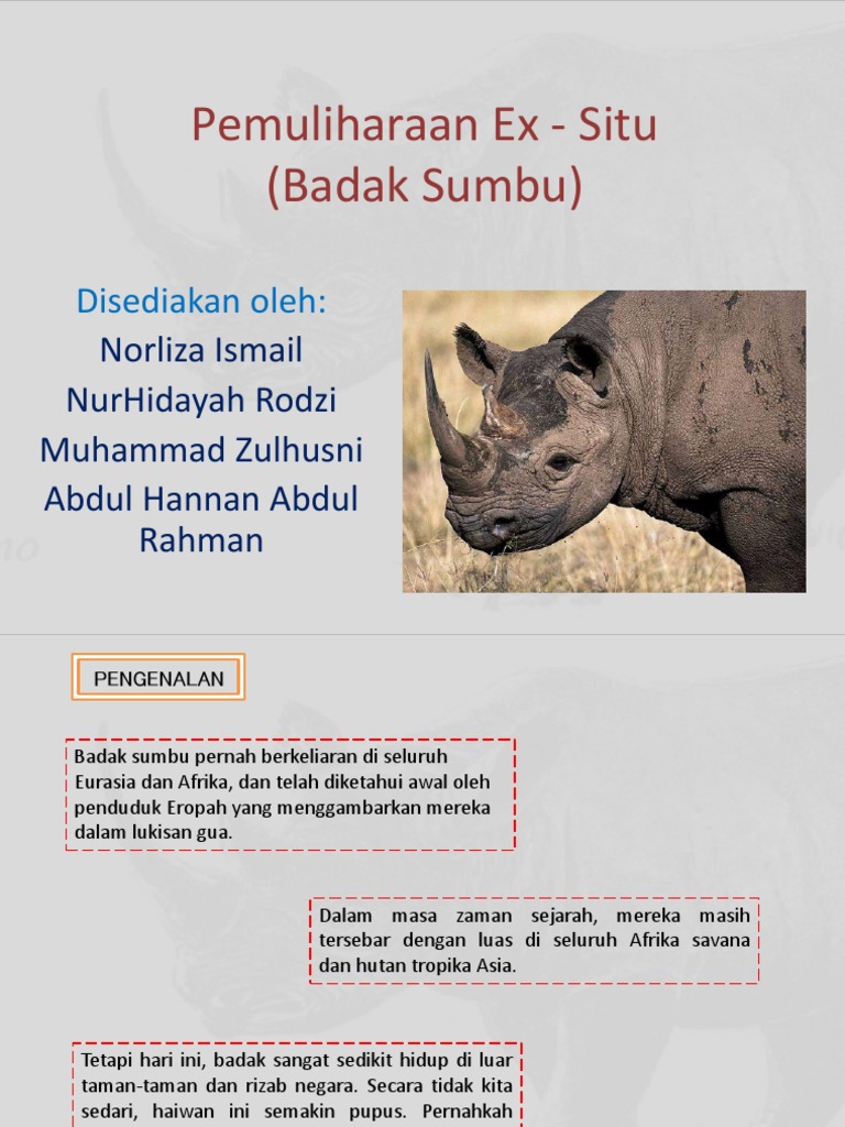 Badak Sumbu Dalam Bahasa Inggeris