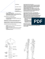 Anterolateral Pathway