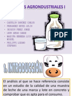 La Leche-Procesos Agroindustriales I