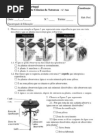 Tes 6 Plantas 2008 – 319