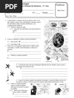 Test Reprod Metamorf e cia Do Meio 2008