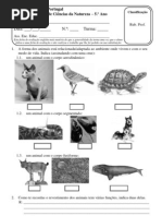 Test Rev Repr Metam Factores Do Meio Argentino e Daniela