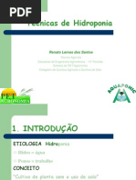 26873550 Tecnicas de Hidroponia