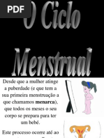 O Ciclo Mentrual
