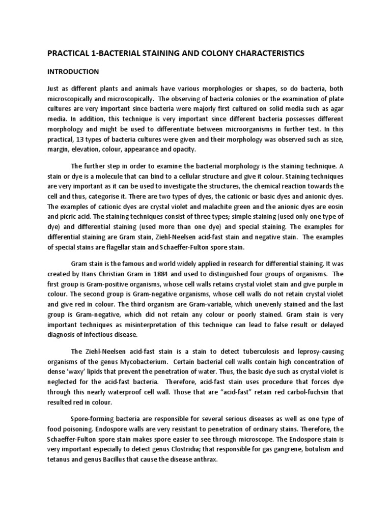 Compilation of the Bacteriology Practical Report Staining Bacteria