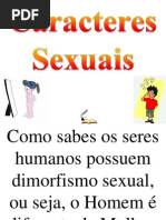 Caracteres Sexuais