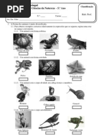 Test Forma e Revestimento 2008