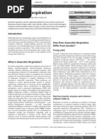 Download Anaerobic respirationpdf by manoj_rkl_07 SN140599331 doc pdf