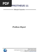 Appostila Protheus Report